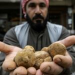 A merchant presents desert truffles at a stall in a market in the city of Hama in west-central Syria on March 6, 2023. AFP 2